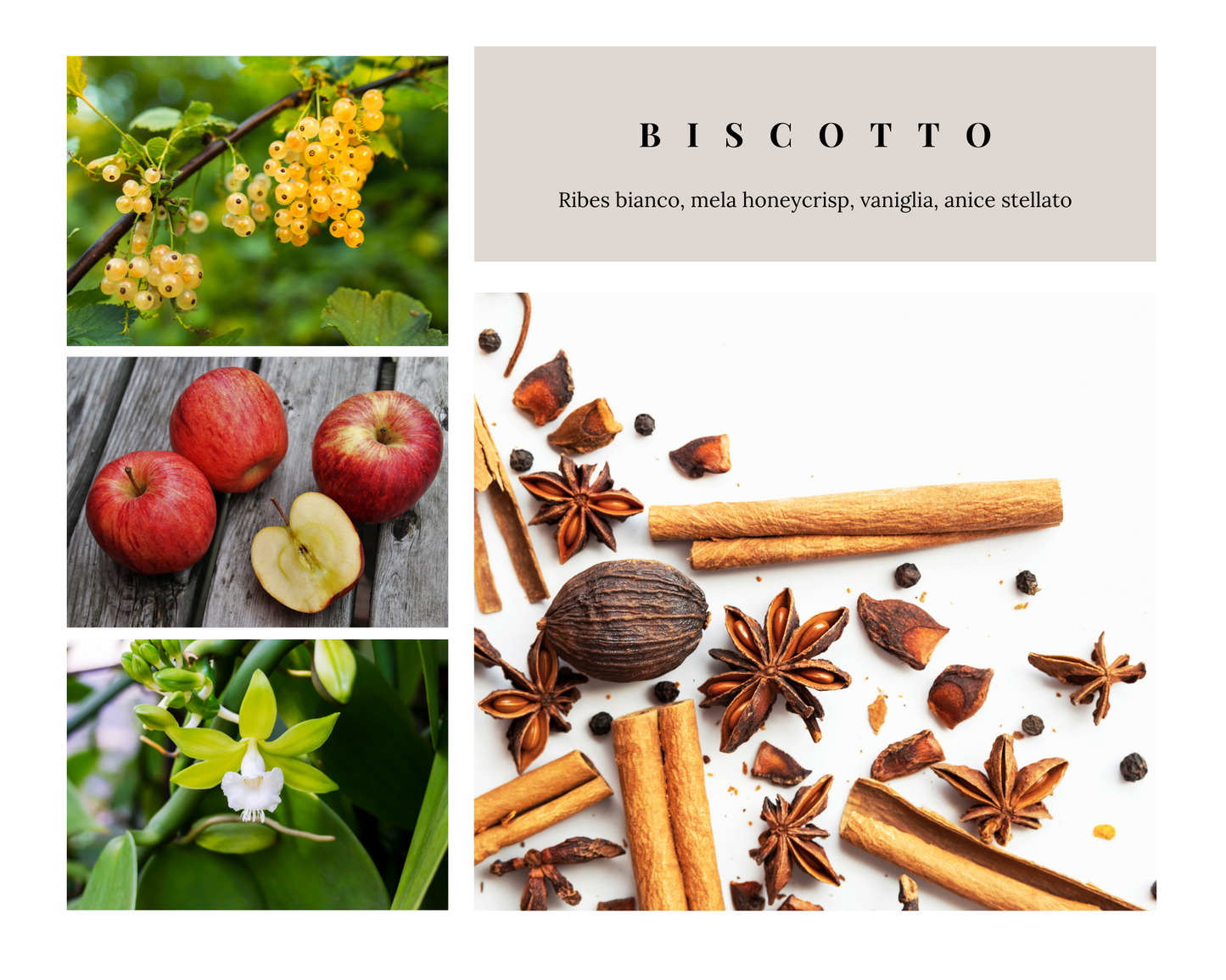 Biscotto